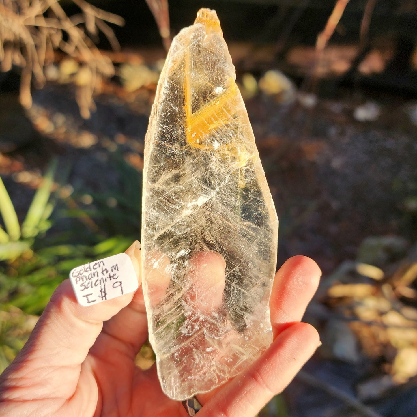 Golden Phantom Selenite