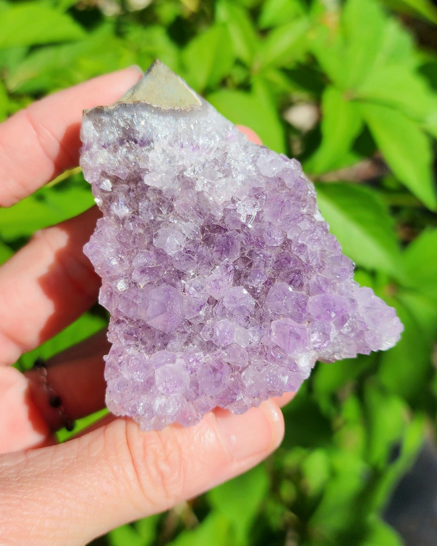 Amethyst Cluster
