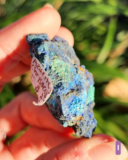 Azurite in Chrysocolla Specimens