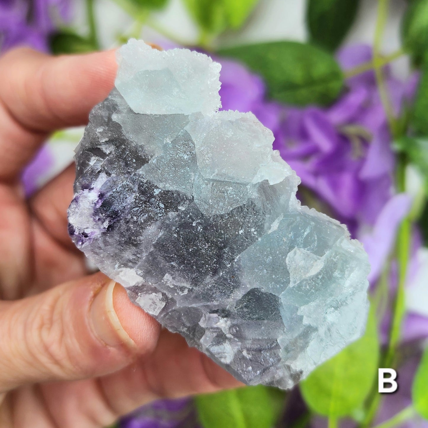 Sugar Fluorite Specimens