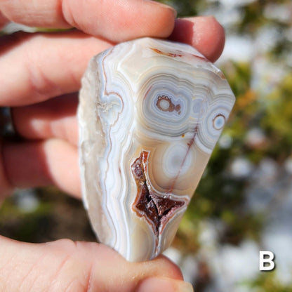 Moroccan Crazy Lace Agate Angular Freeforms