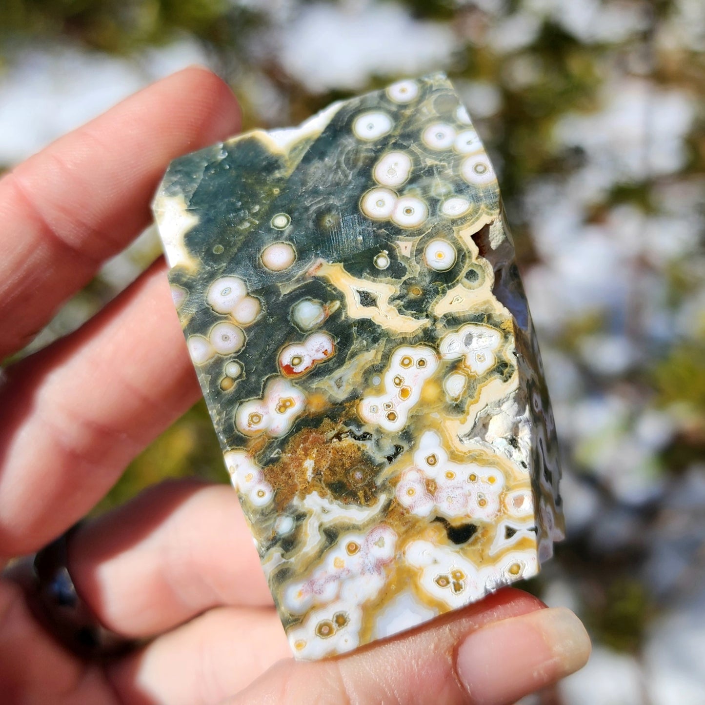 Ocean Jasper Angular Freeform