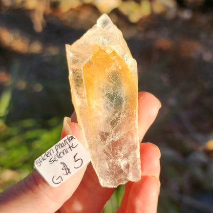 Golden Phantom Selenite