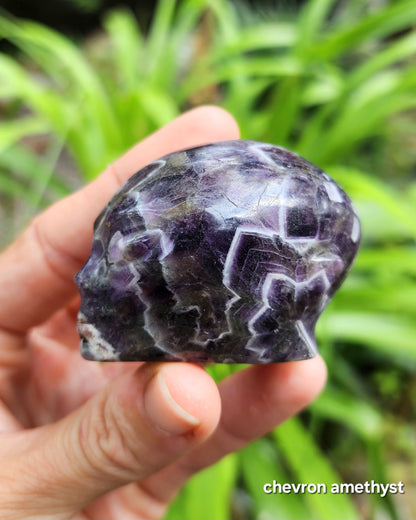 Alien Skull Carvings