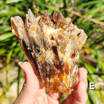 Amber Calcite Specimens (Root Beer Calcite)