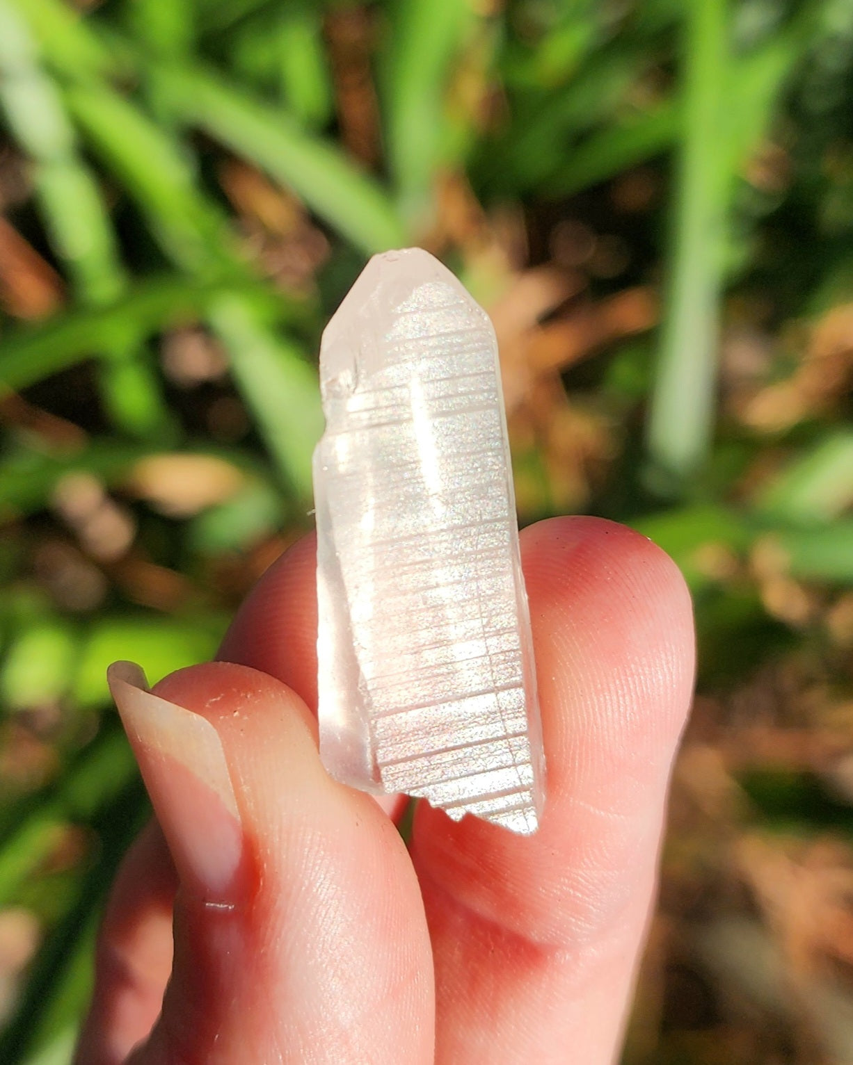 Lemurian Quartz Point