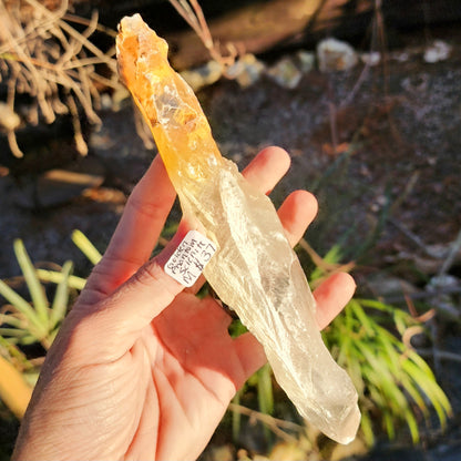 Golden Phantom Selenite