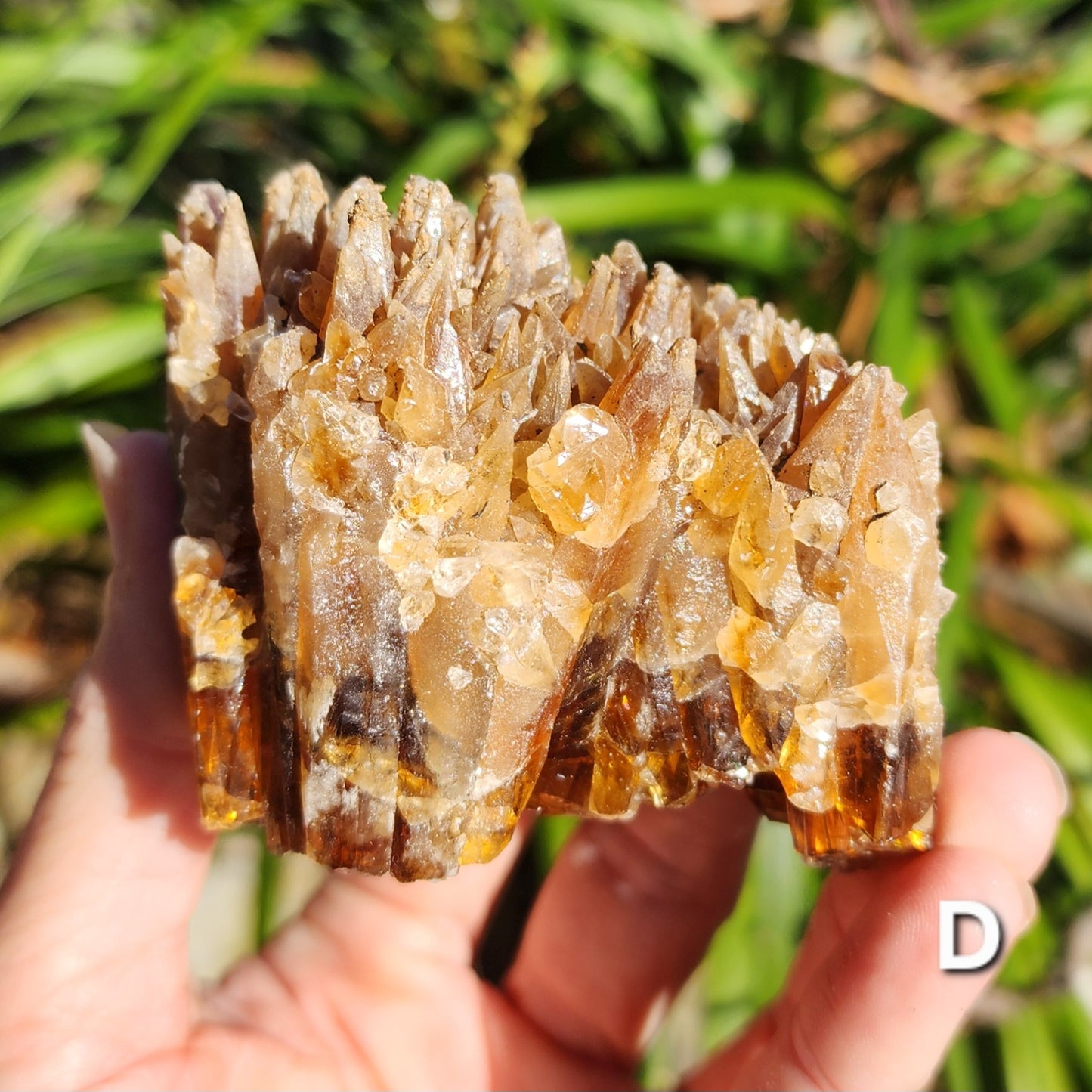 Amber Calcite Specimens (Root Beer Calcite)