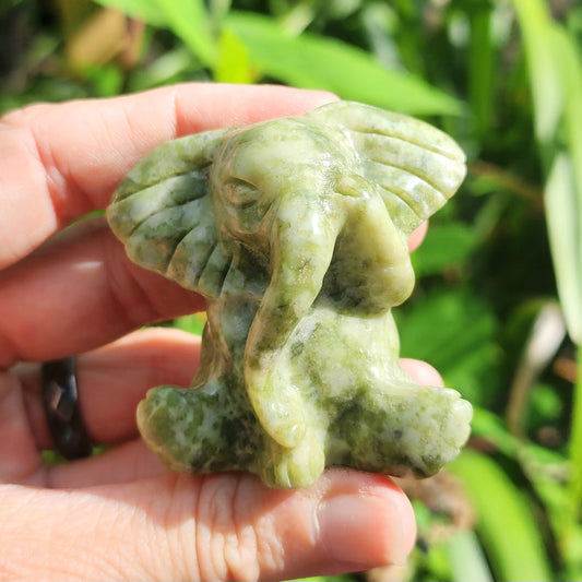 Serpentine Bashful Elephant