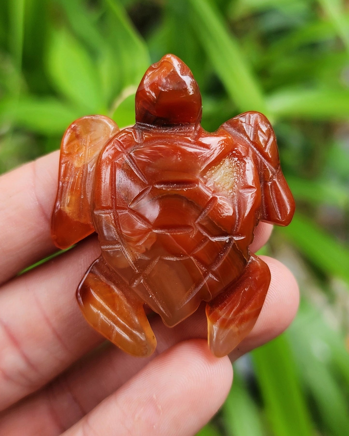 Carnelian Sea Turtle Carving