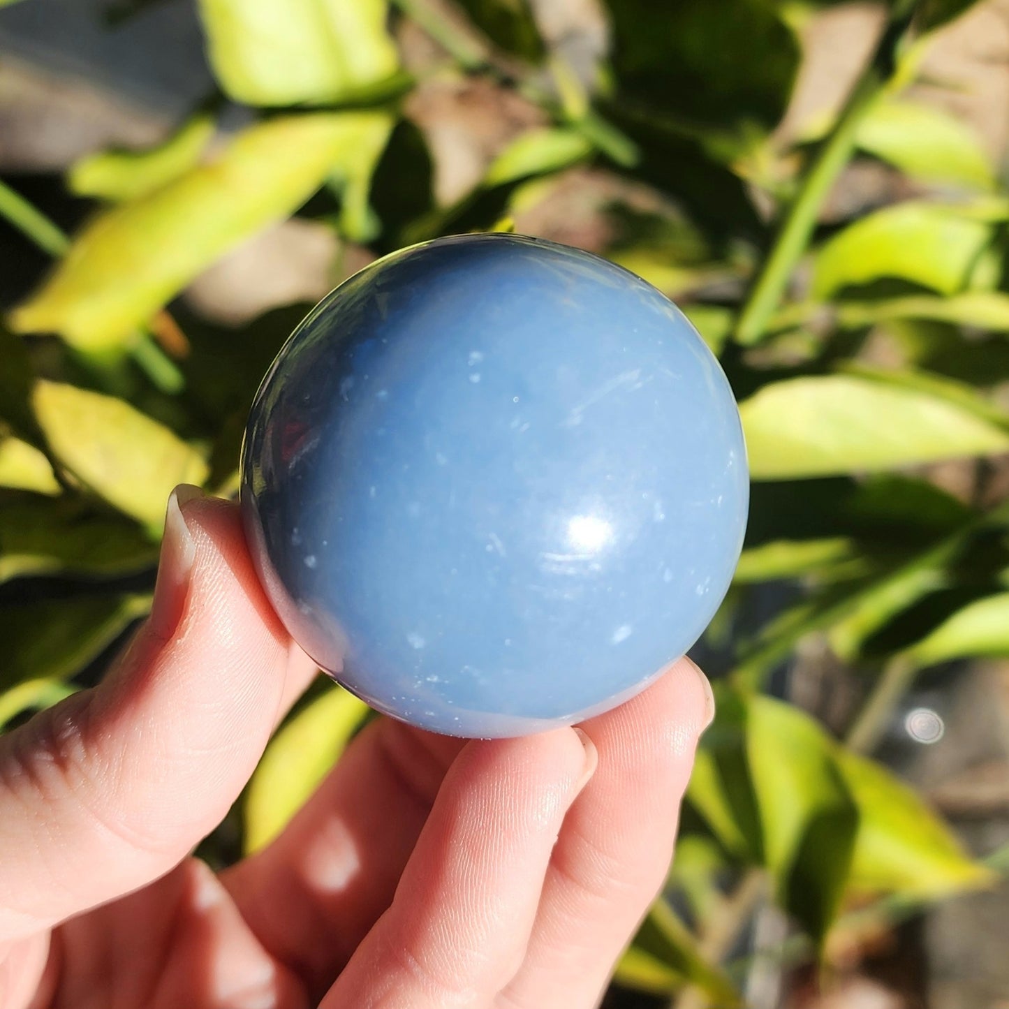 Angelite Sphere