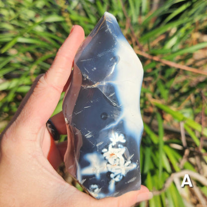 Orca Agate Flames