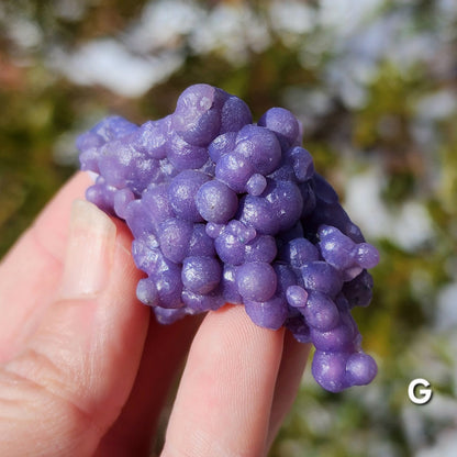 Grape Agate Specimens