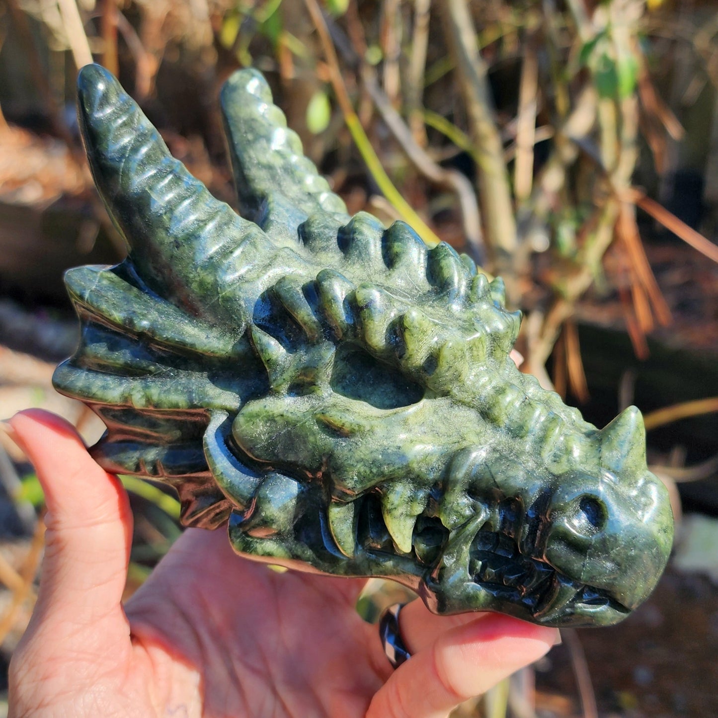 XL Serpentine Dragon Skull