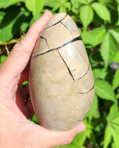 Druzy Septarian Self Standing Egg