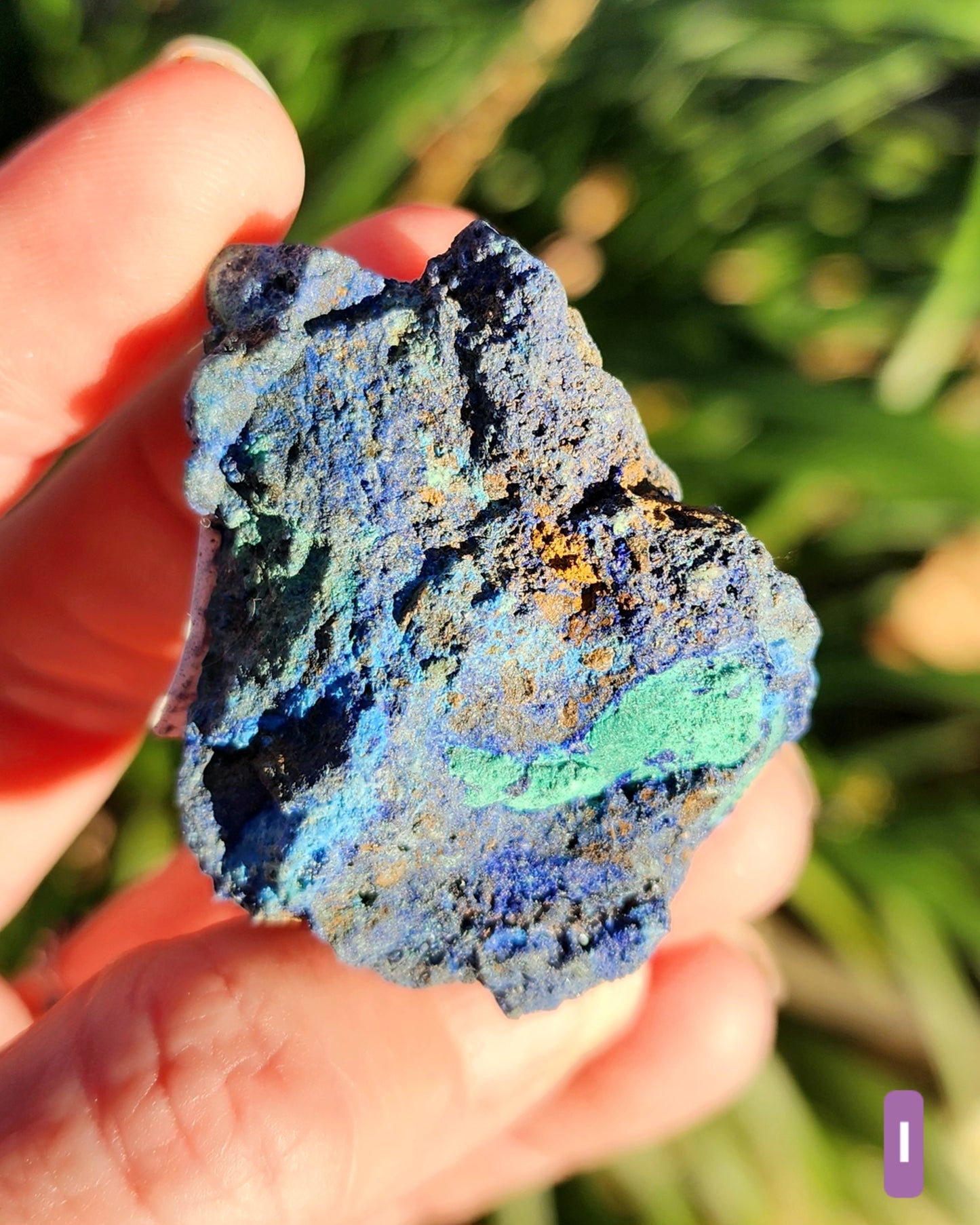 Azurite in Chrysocolla Specimens