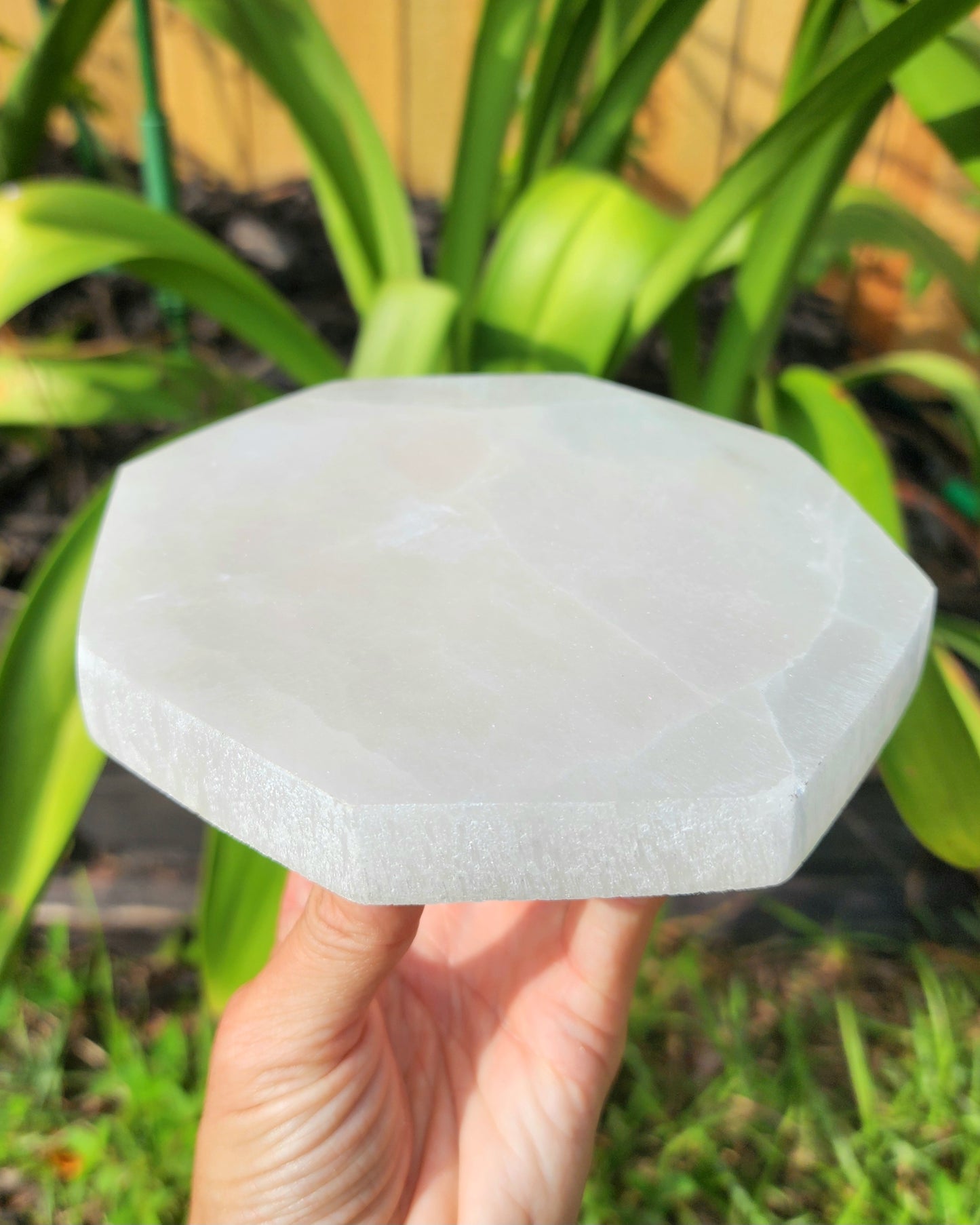 Satin Spar Selenite Octagon Cleansing Plate