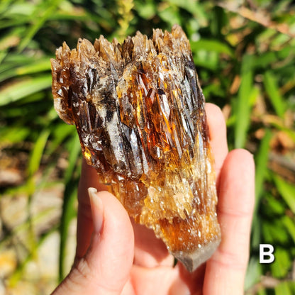 Amber Calcite Specimens (Root Beer Calcite)