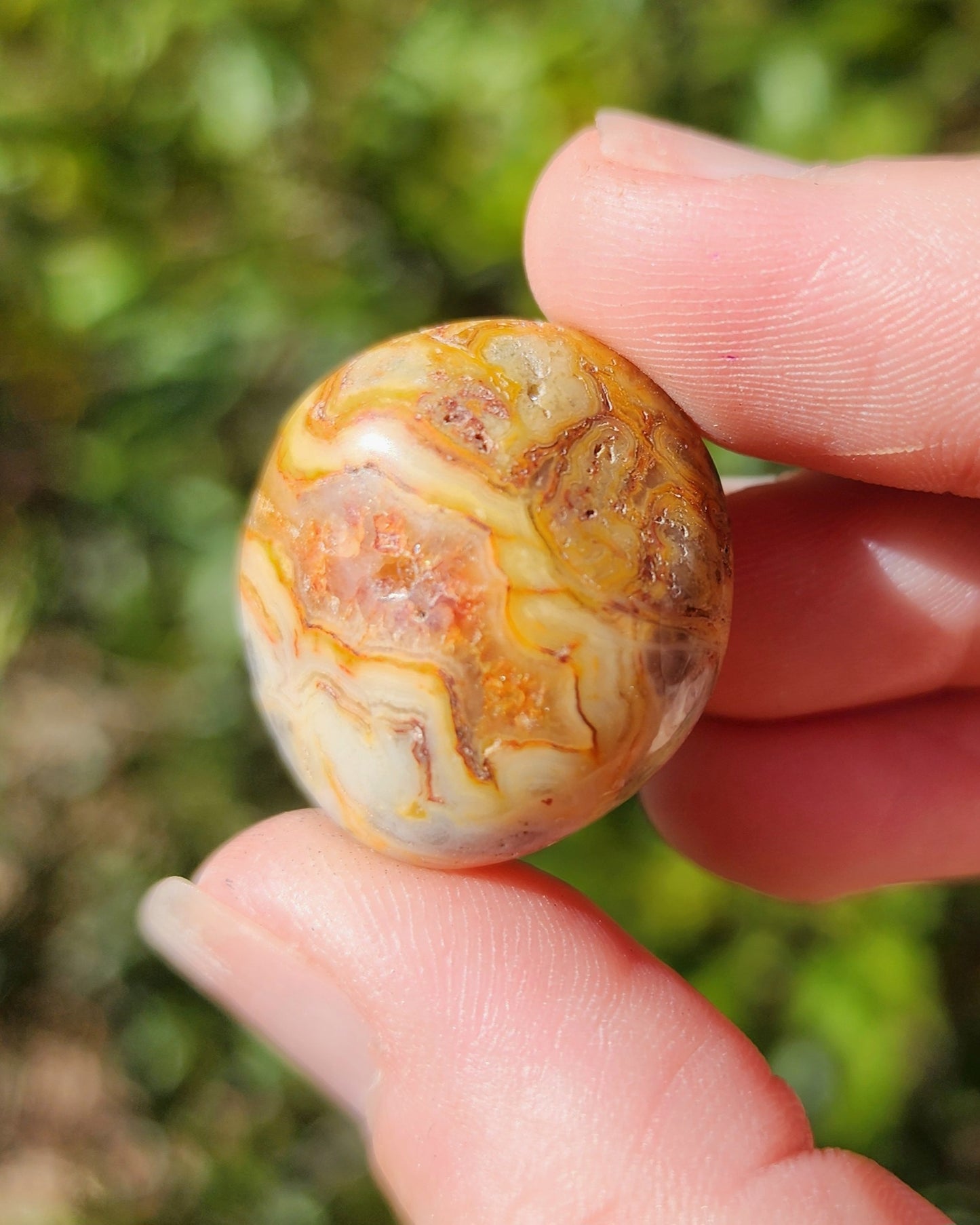 Crazy Lace Agate Tumble