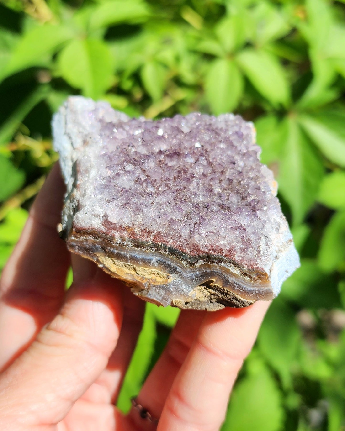 Amethyst Cluster