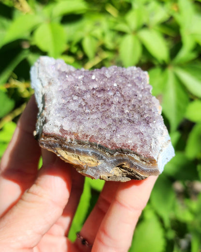 Amethyst Cluster