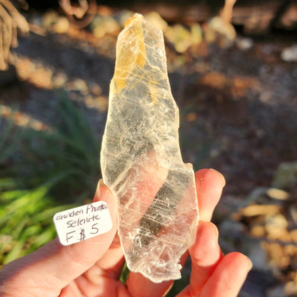 Golden Phantom Selenite