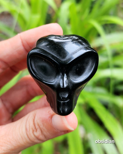 Alien Skull Carvings