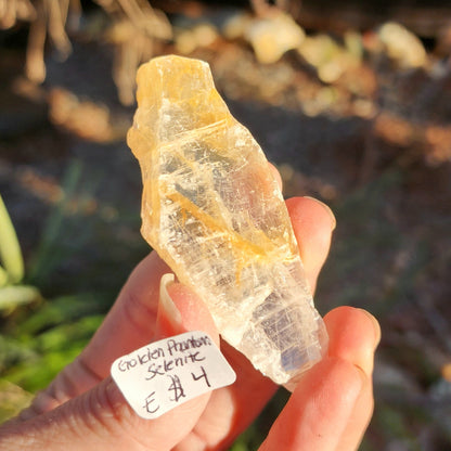 Golden Phantom Selenite