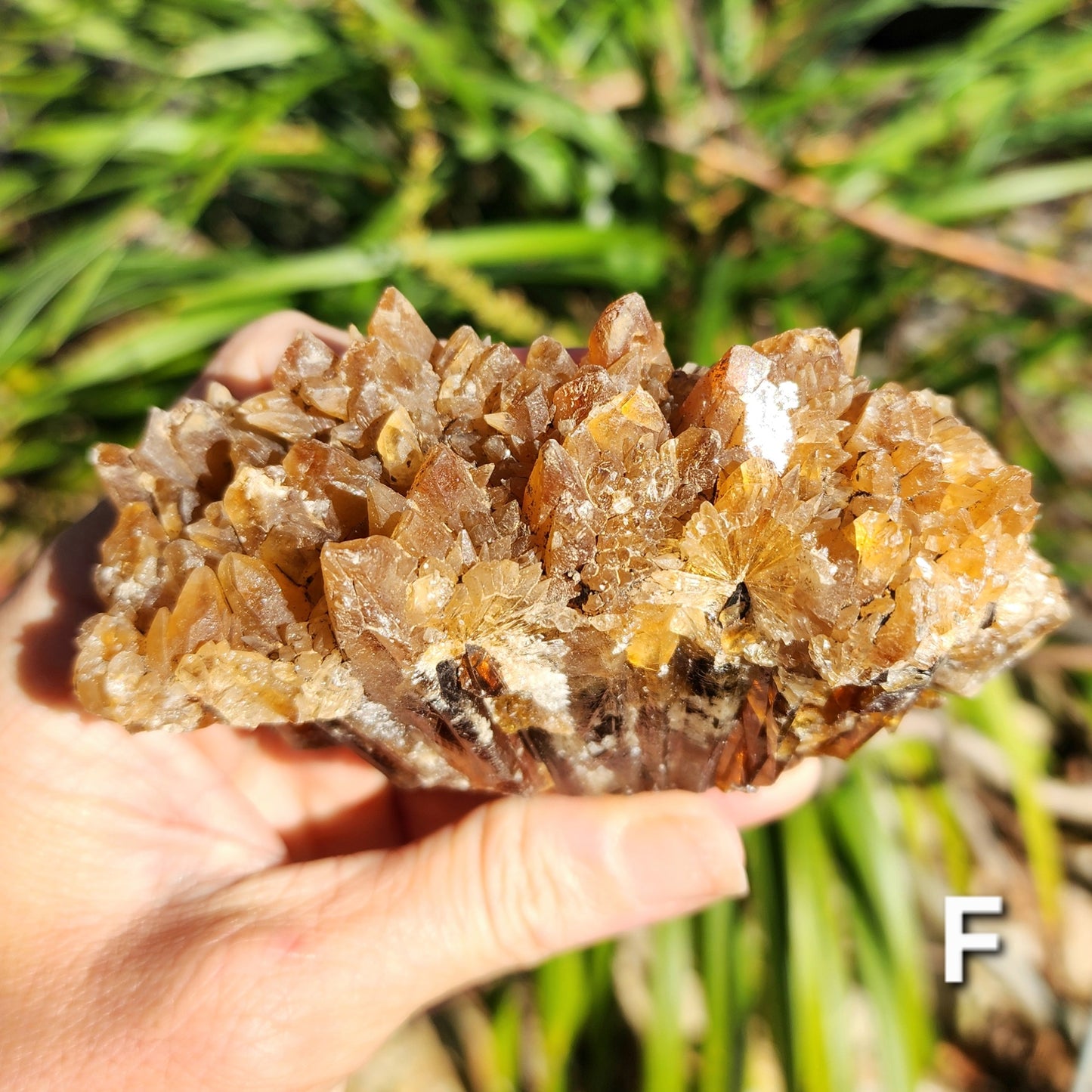 Amber Calcite Specimens (Root Beer Calcite)