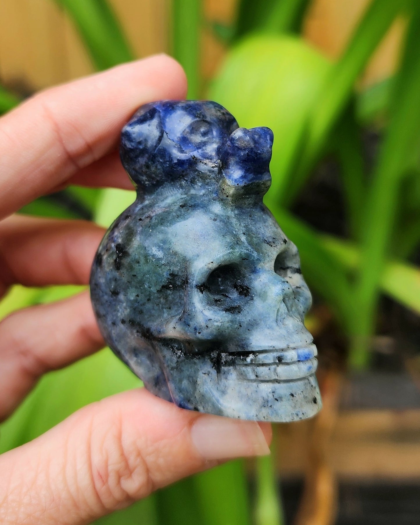 Sodalite Snail on Skull