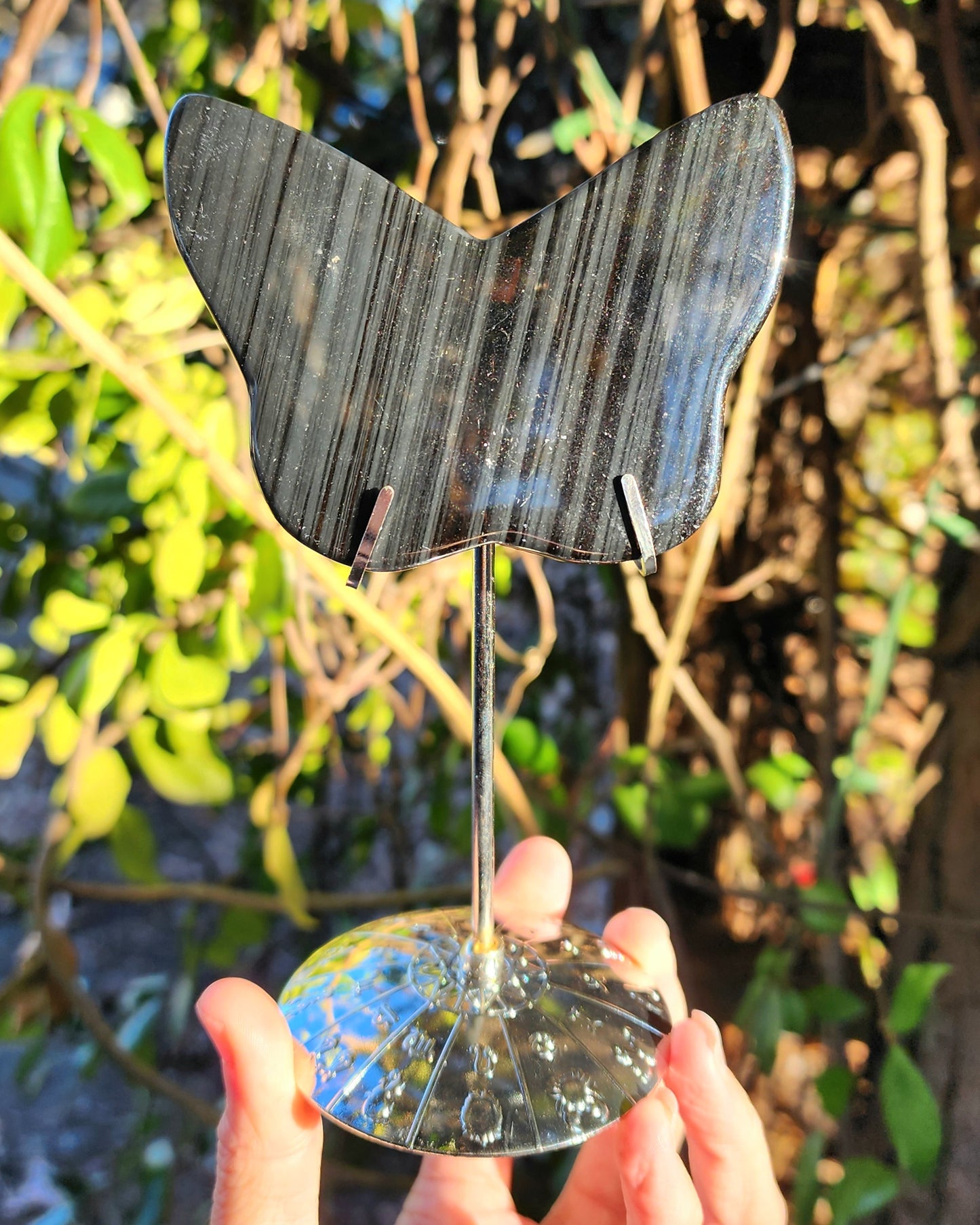 Midnight Lace Obsidian Butterfly on Stand