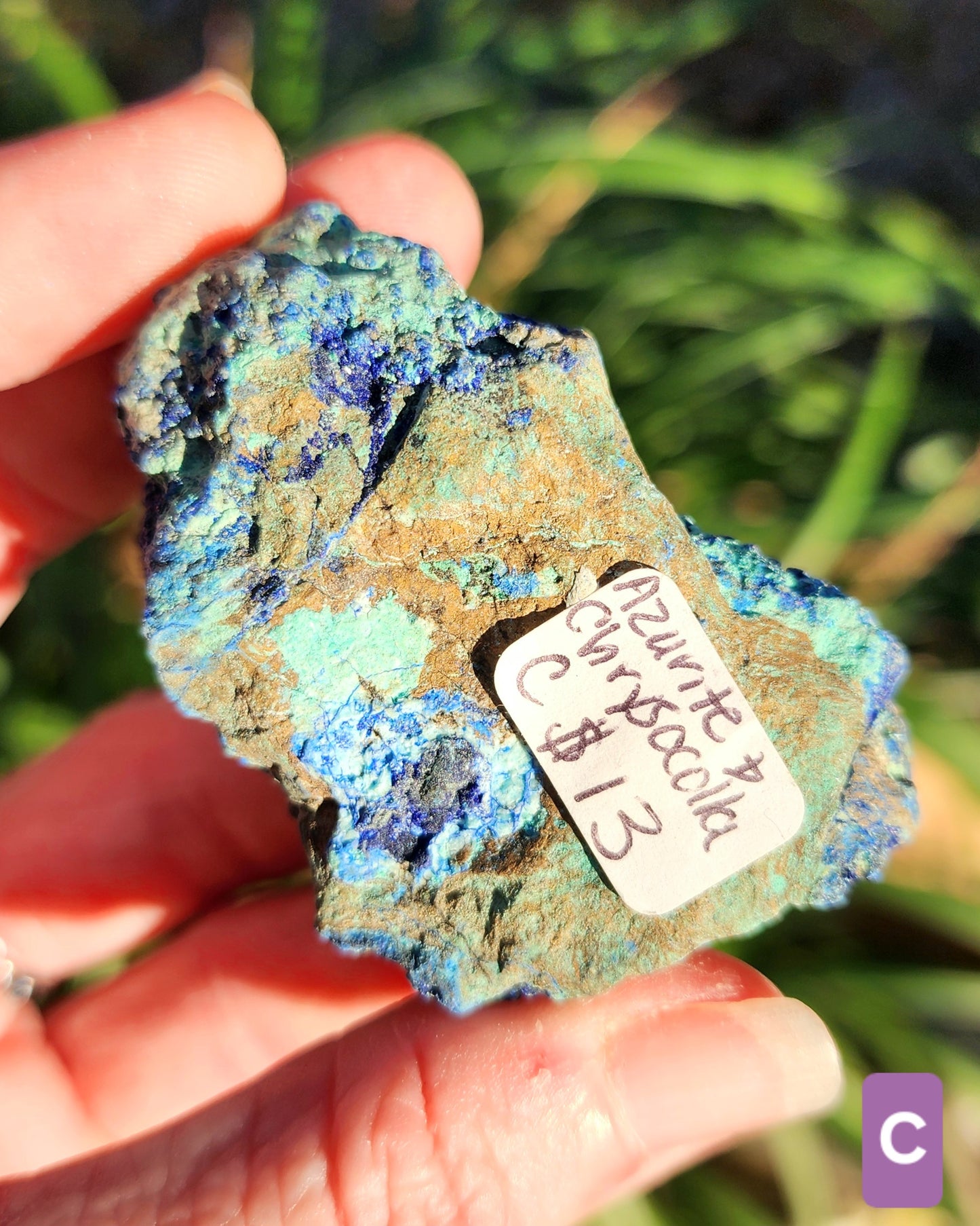 Azurite in Chrysocolla Specimens