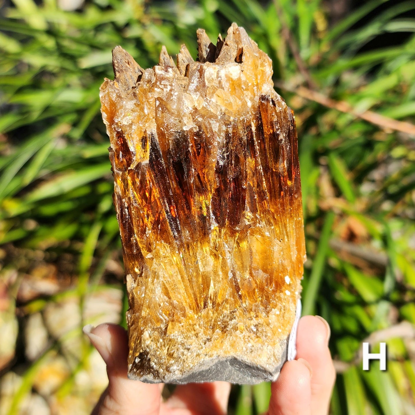 Amber Calcite Specimens (Root Beer Calcite)