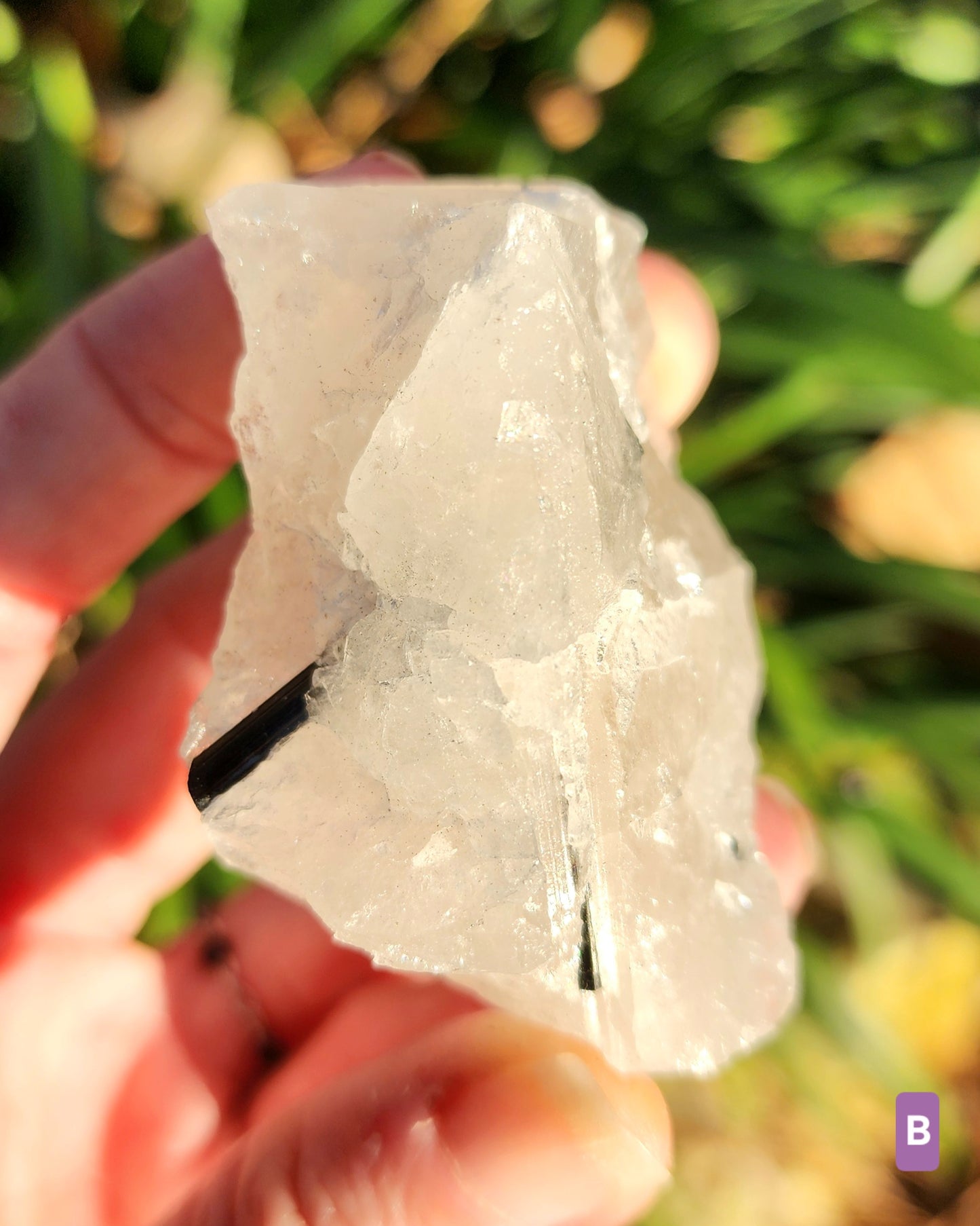 Raw Black Tourmaline in Quartz aka Tourmalinated Quartz