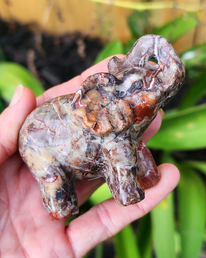 Money Agate Elephant