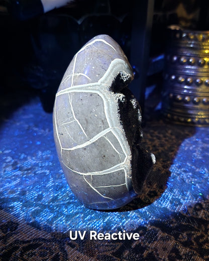 Druzy Septarian Self Standing Egg