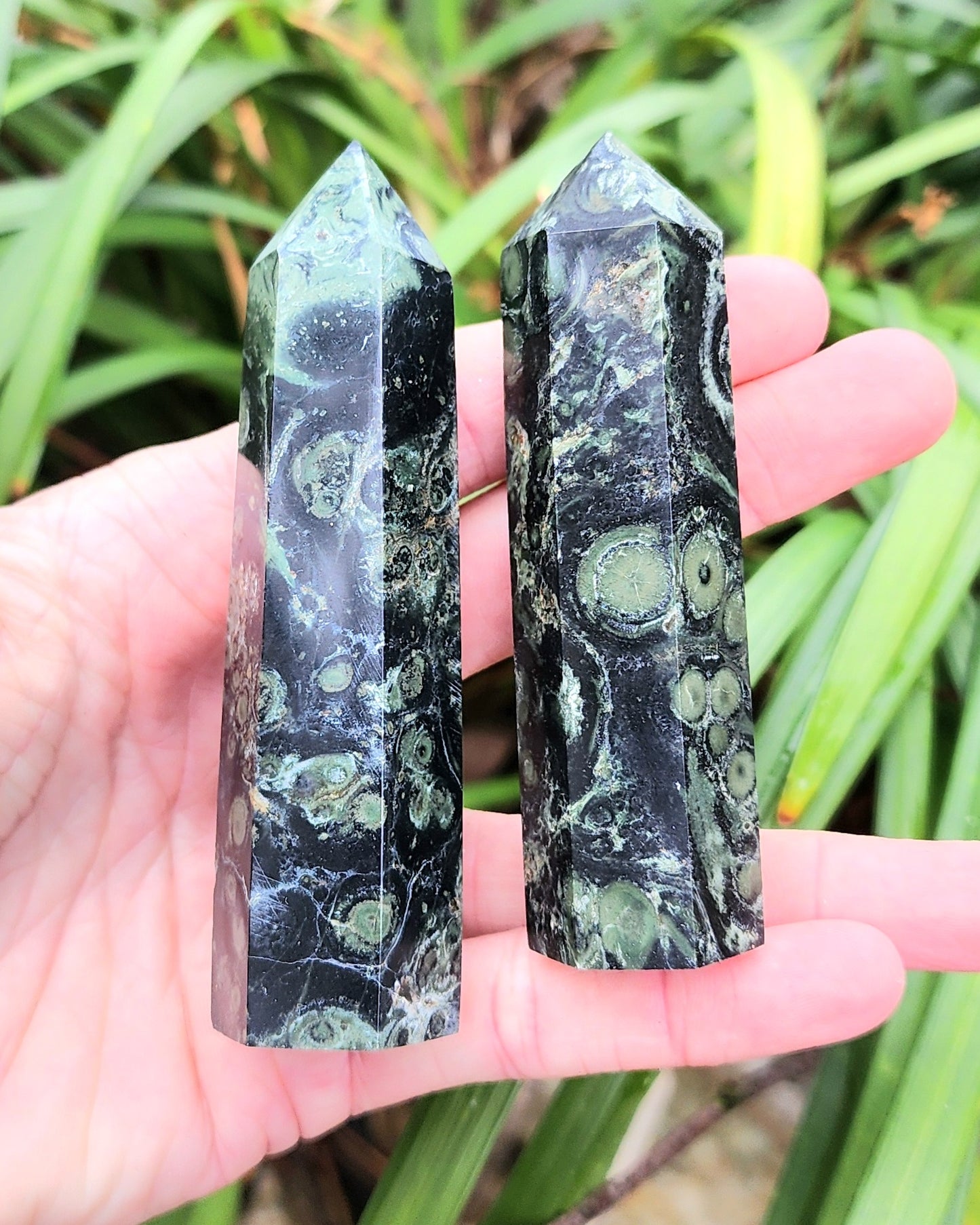 Kambaba Jasper Towers