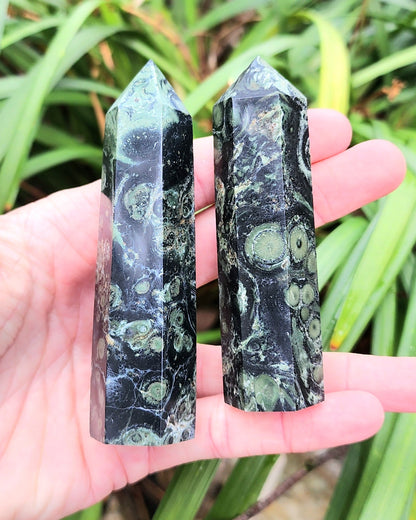 Kambaba Jasper Towers