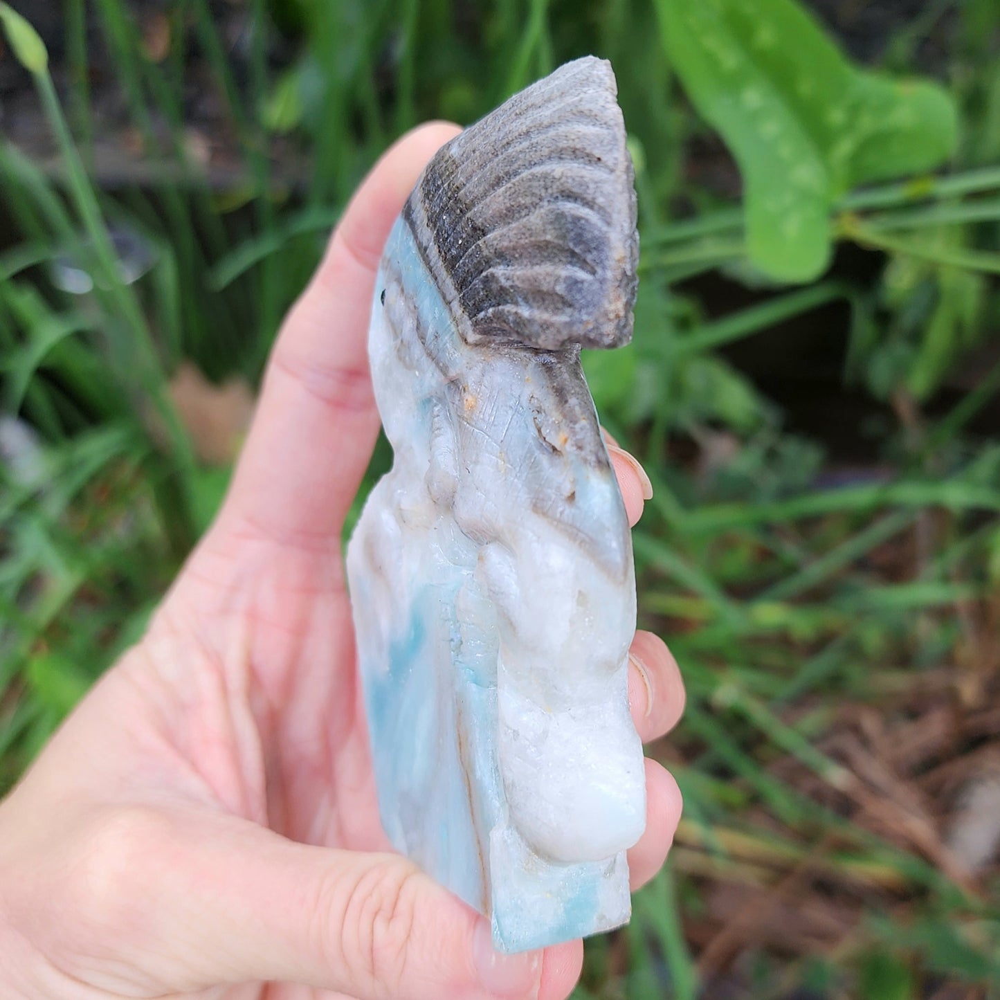 Sky Blue Quartz Chameleon Hand Carved