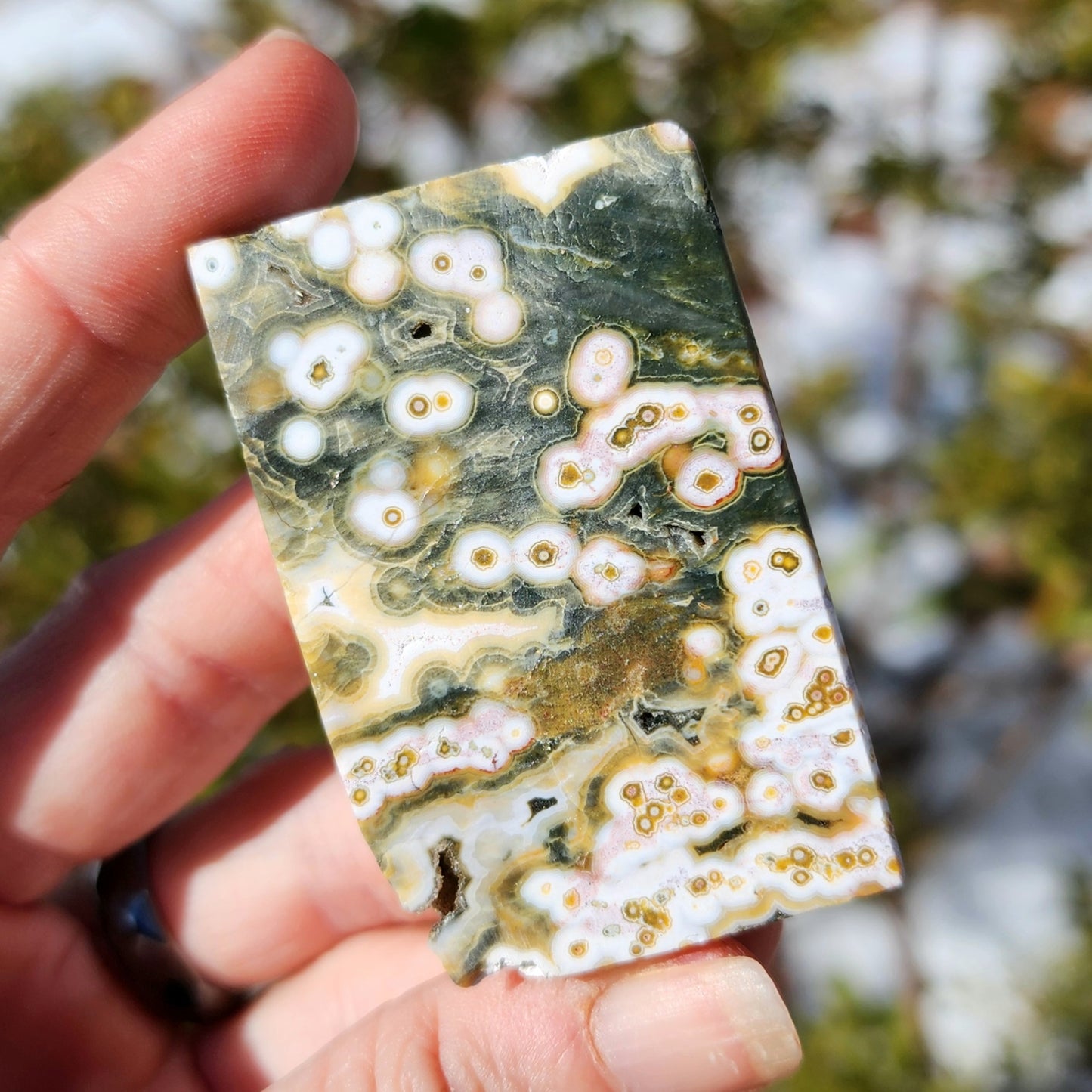 Ocean Jasper Angular Freeform