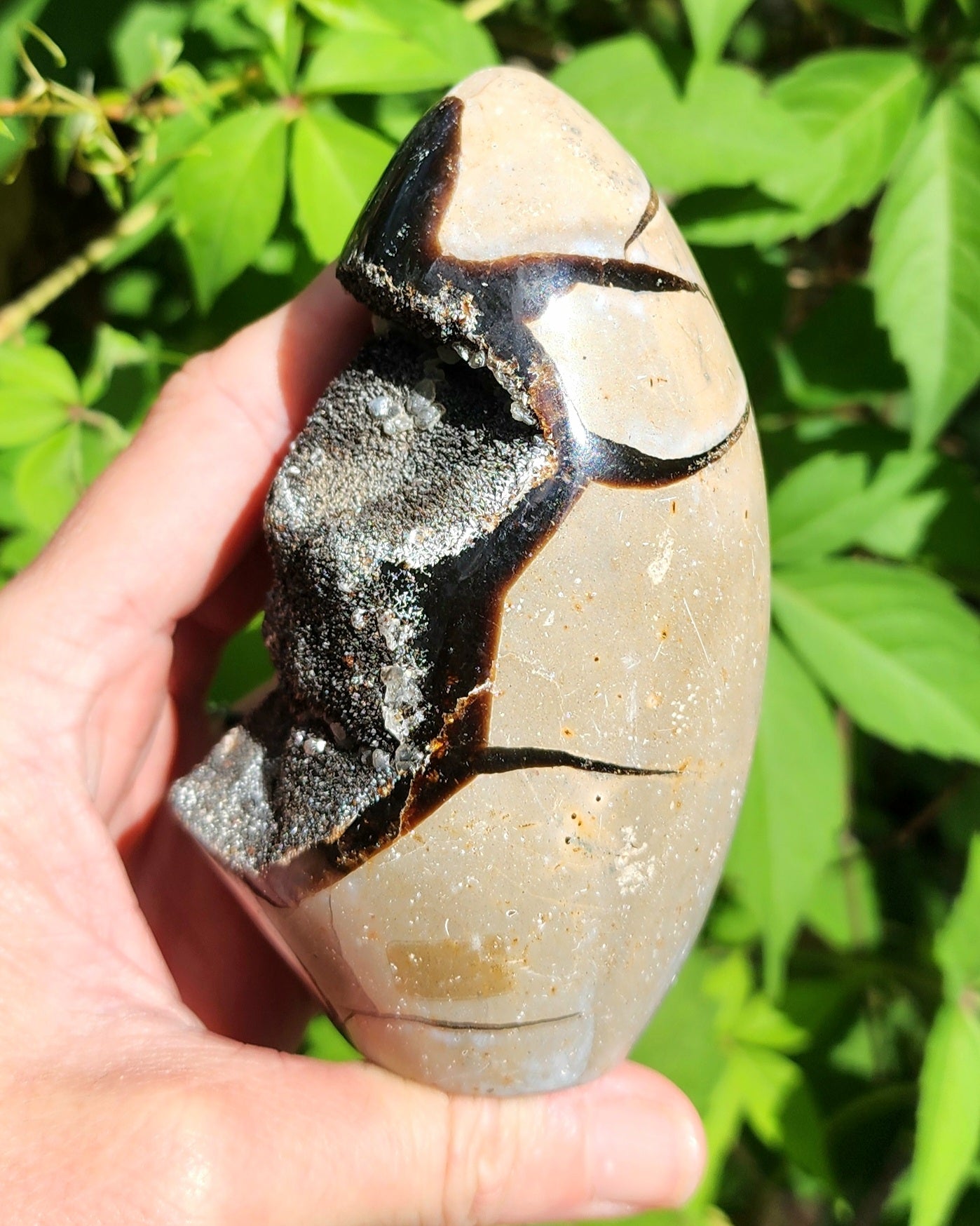 Druzy Septarian Self Standing Egg