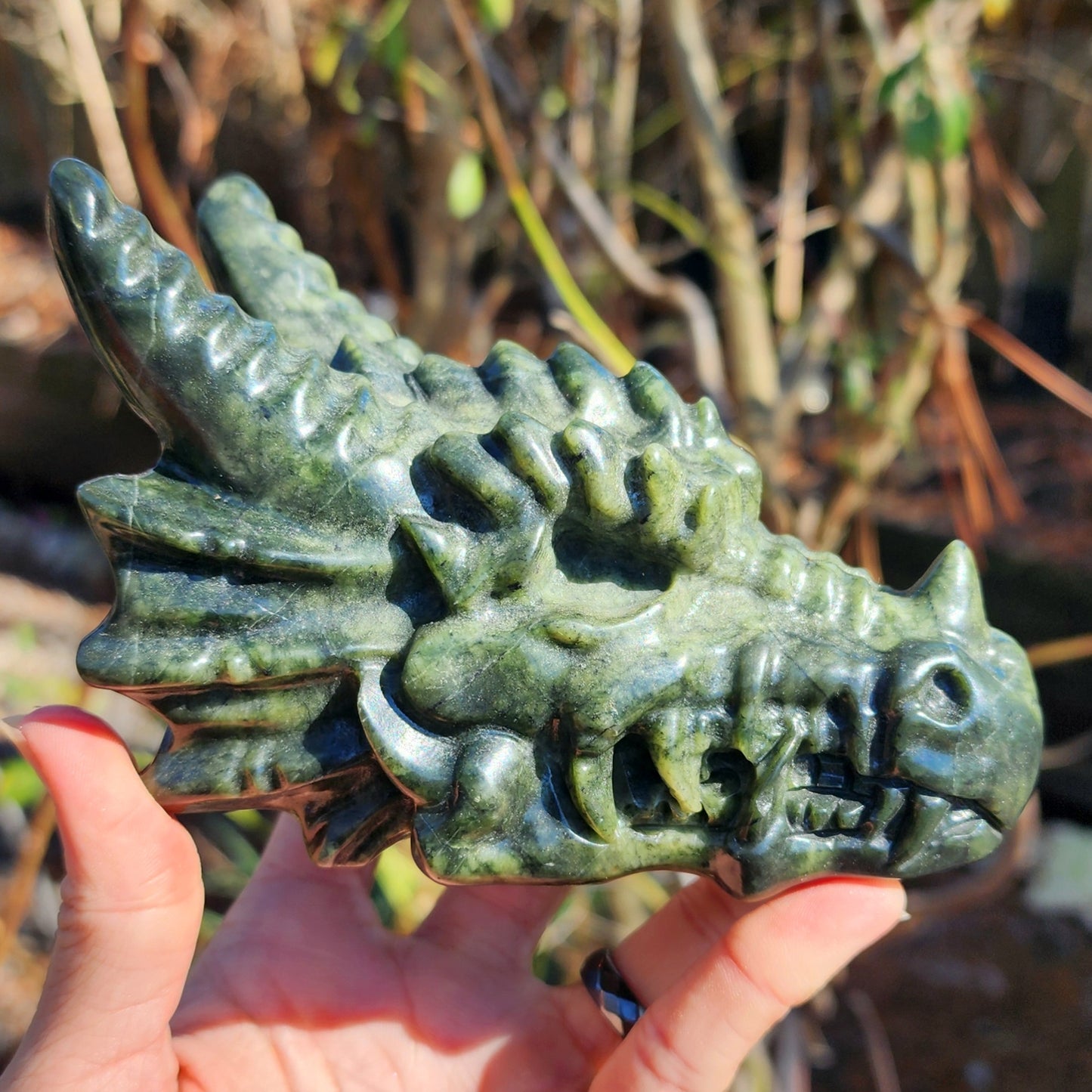 XL Serpentine Dragon Skull