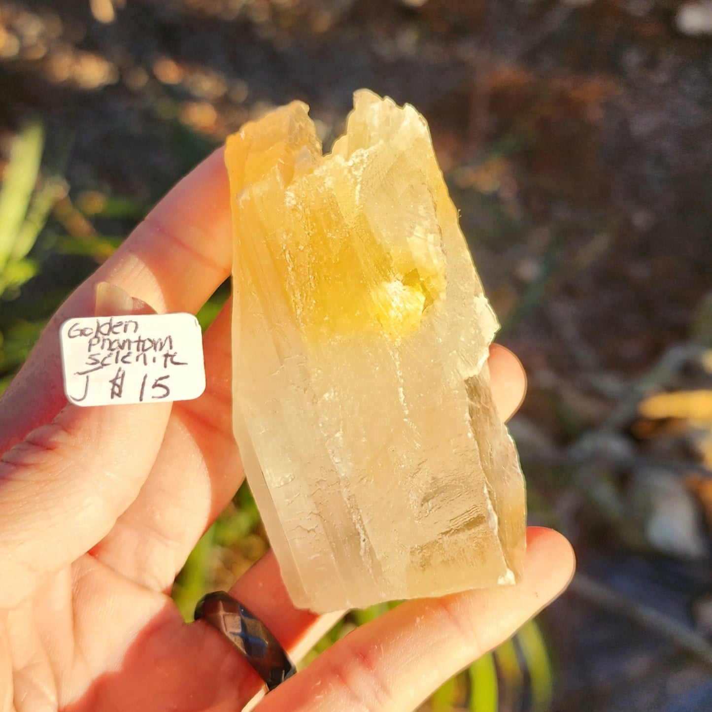 Golden Phantom Selenite