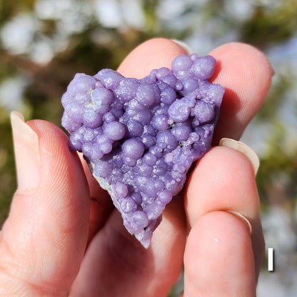 Grape Agate Specimens