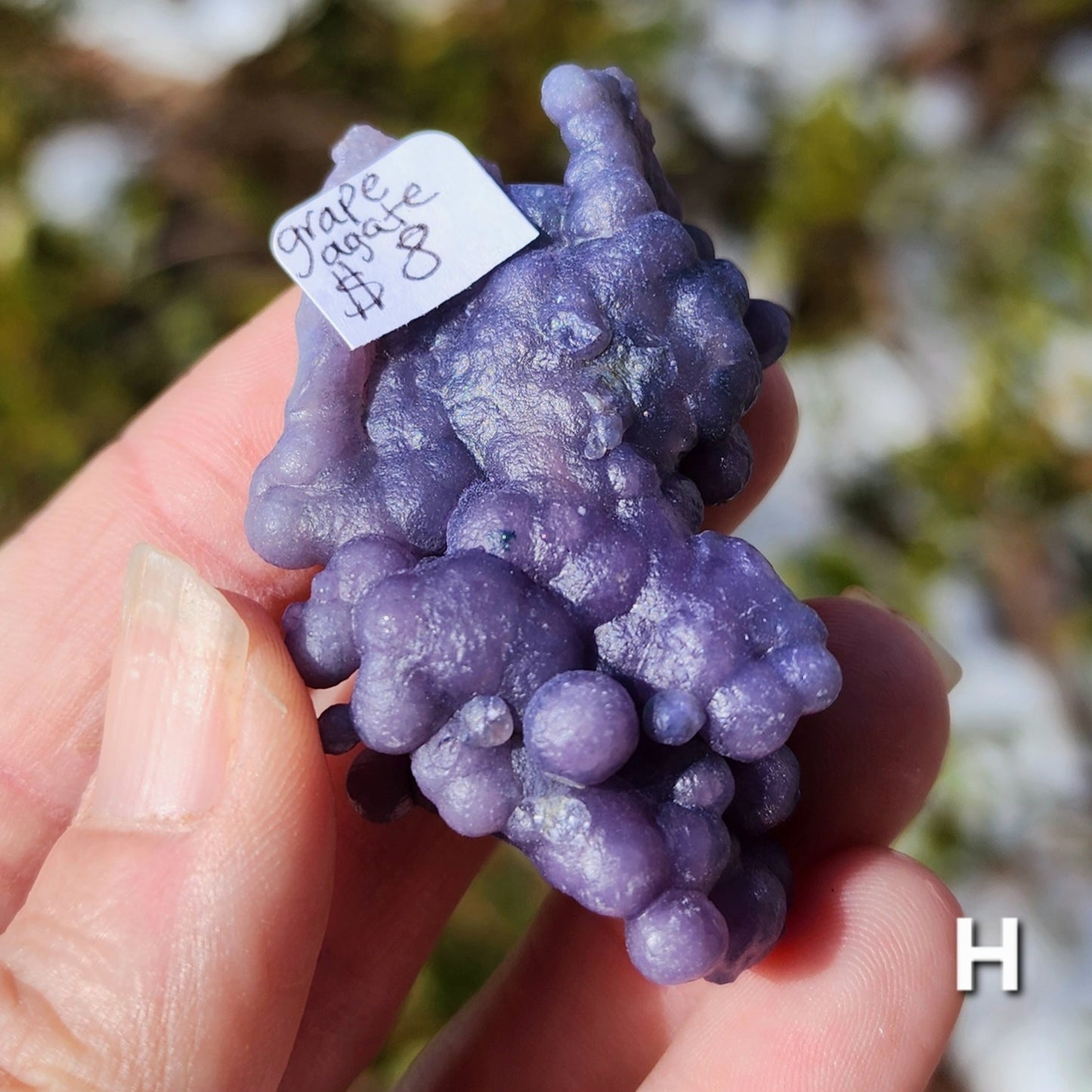 Grape Agate Specimens