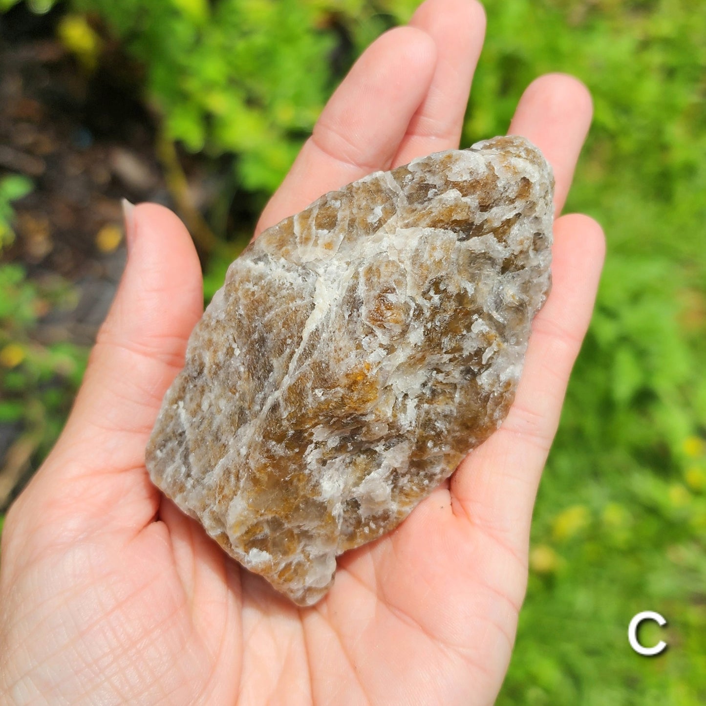 Rough Raw South Carolina Smoky Quartz (Self Collected)