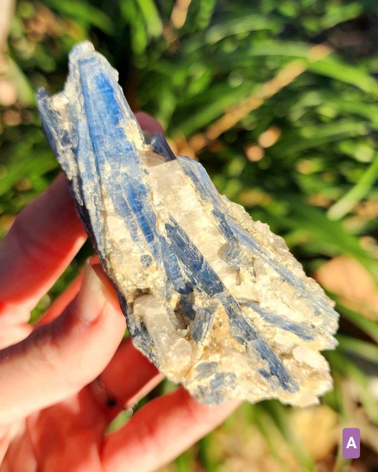 Blue Kyanite with Quartz Clusters