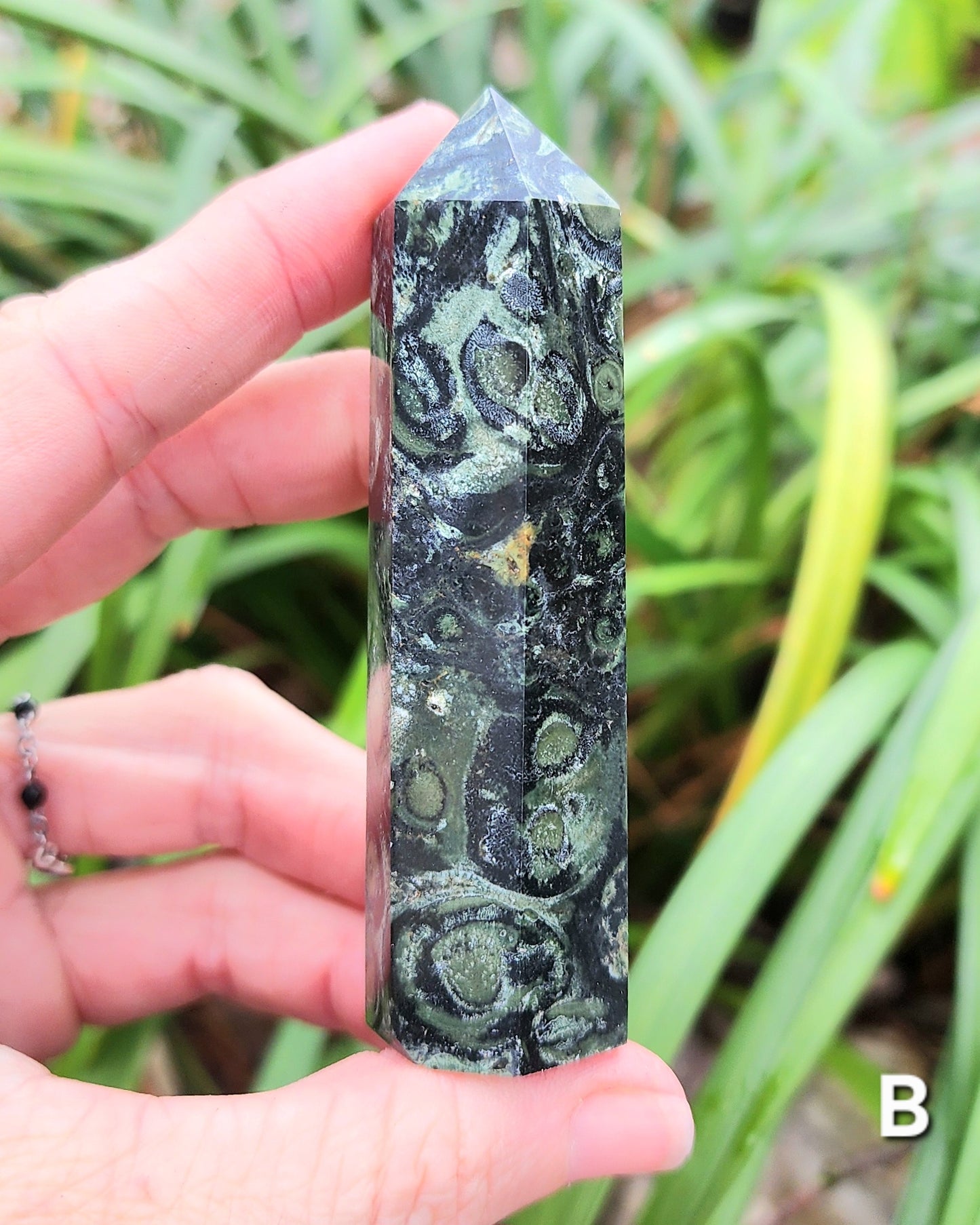 Kambaba Jasper Towers