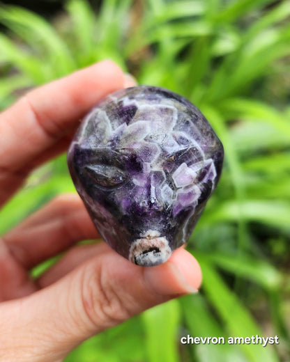 Alien Skull Carvings