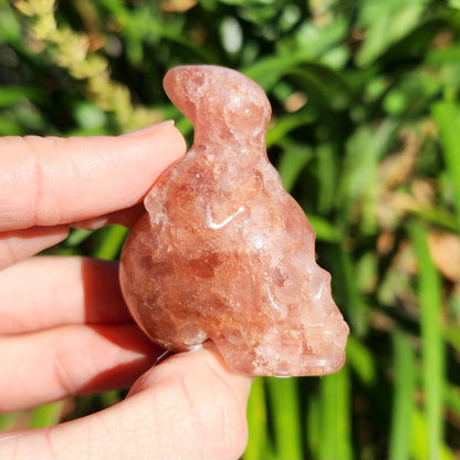 Red Aventurine Octopus on Skull Carvings